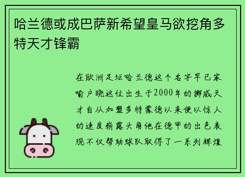 哈兰德或成巴萨新希望皇马欲挖角多特天才锋霸