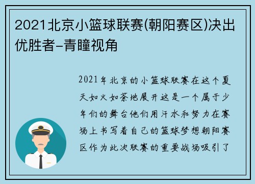 2021北京小篮球联赛(朝阳赛区)决出优胜者-青瞳视角