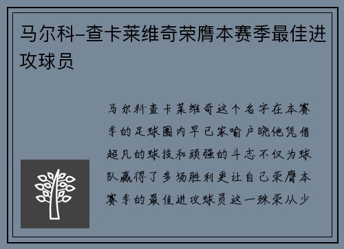 马尔科-查卡莱维奇荣膺本赛季最佳进攻球员